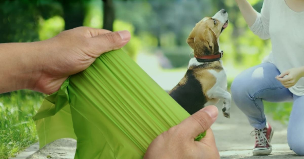 Compostable Pet Waste Bags