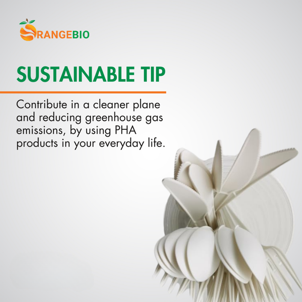 Sustainable Tips