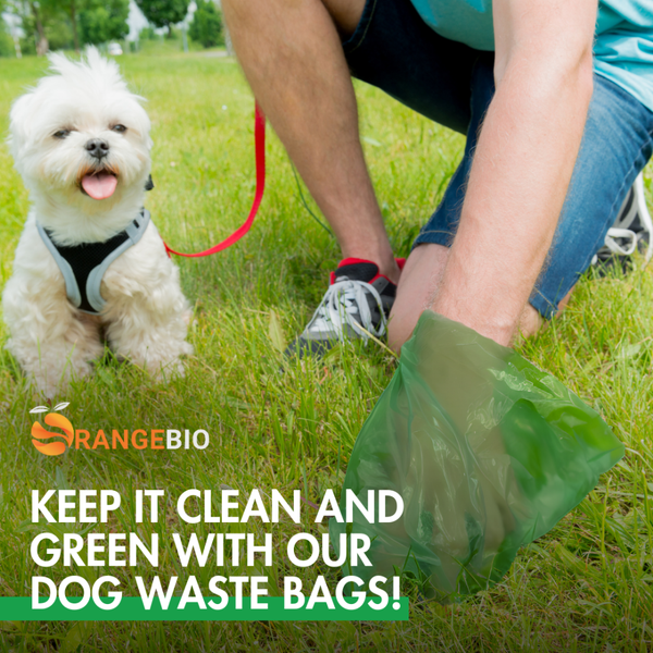 Keep it clean and green with our dog waste bags.